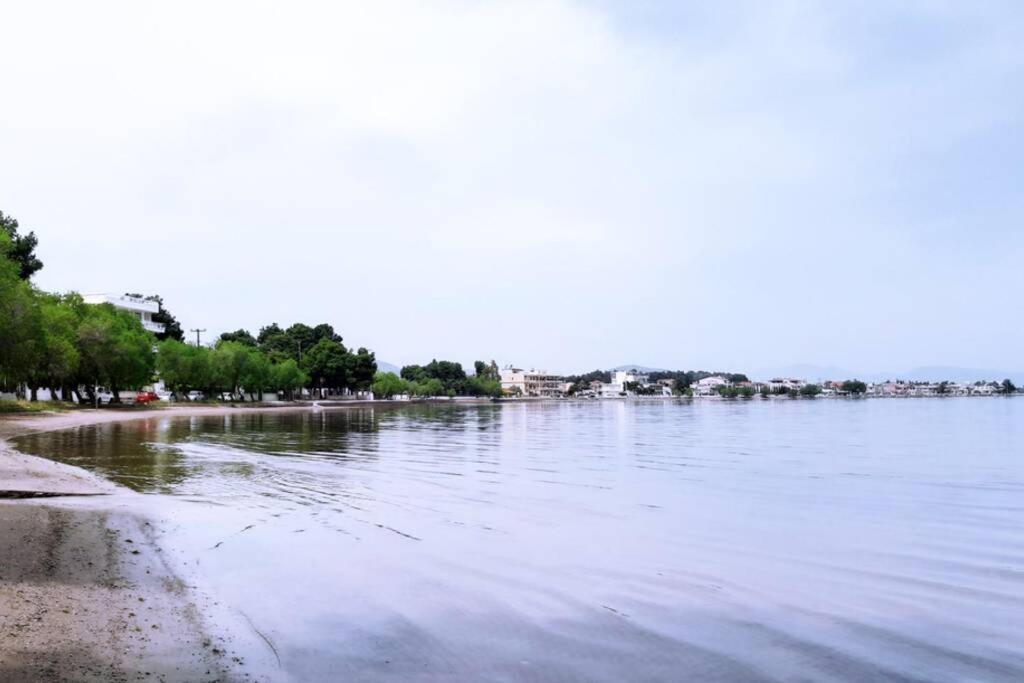 Πολυτελές Διαμέρισμα 3 Χαλκίδα-Παραλία Αυλίδος Paralia Avlidhos Zewnętrze zdjęcie